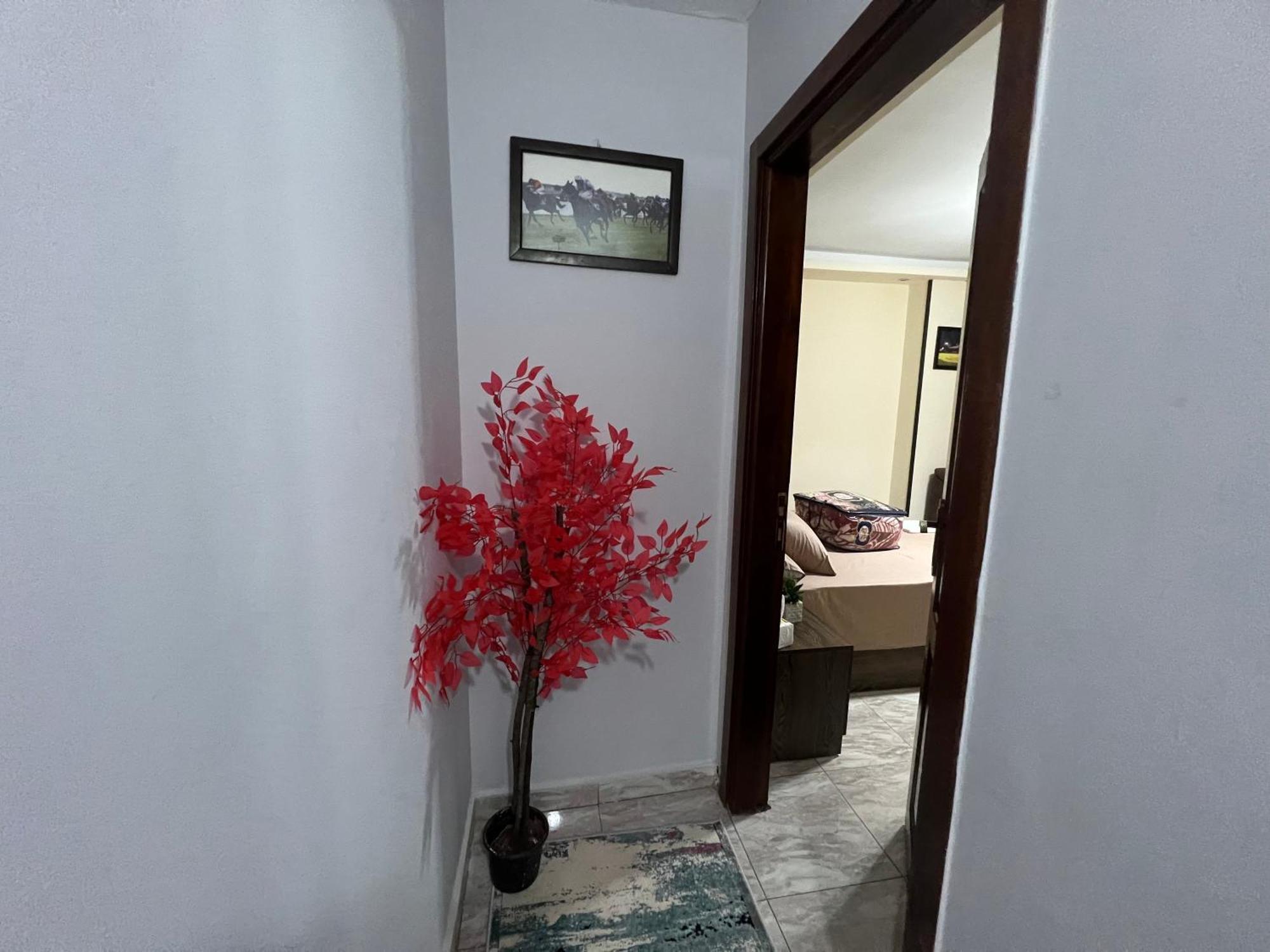 Luxury Downtown Appartement Le Caire